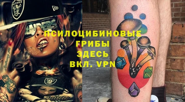 винт Аркадак