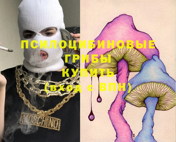 дурь Бородино