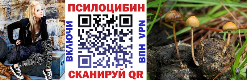 Галлюциногенные грибы Magic Shrooms  Павлово 